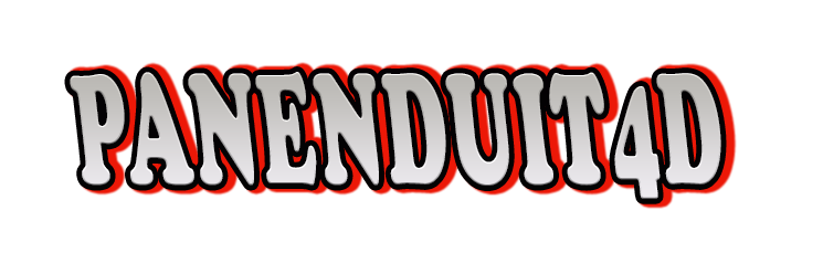 Panenduit4D